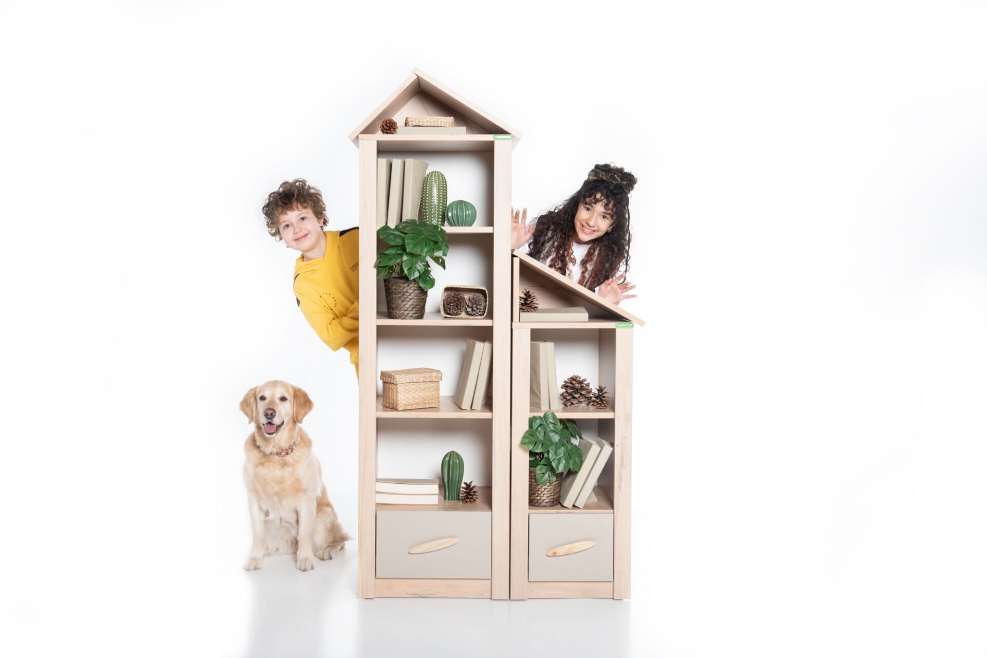 Open Bookcase My House
